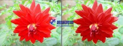 Adobe Photoshop cs4中文破解版