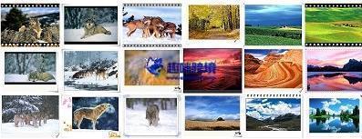 Adobe Photoshop cs4中文破解版