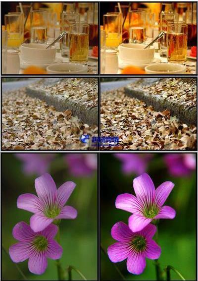 Adobe Photoshop cs4中文破解版