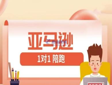 亚马逊1对1陪跑课(FBA/FBM精铺)跨境亚马逊教程