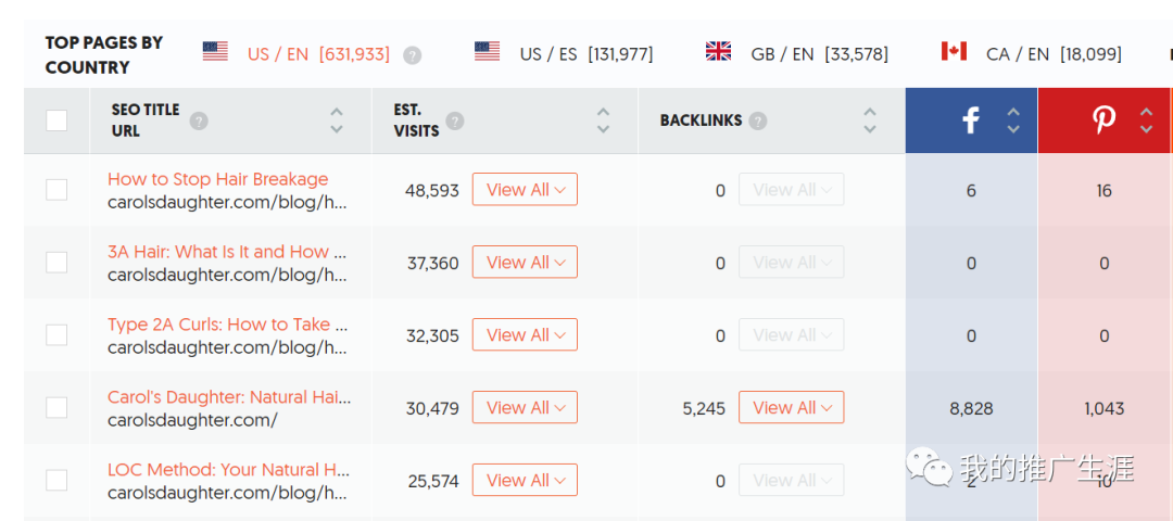 案例:百万自然访客流量的护发外贸独立站