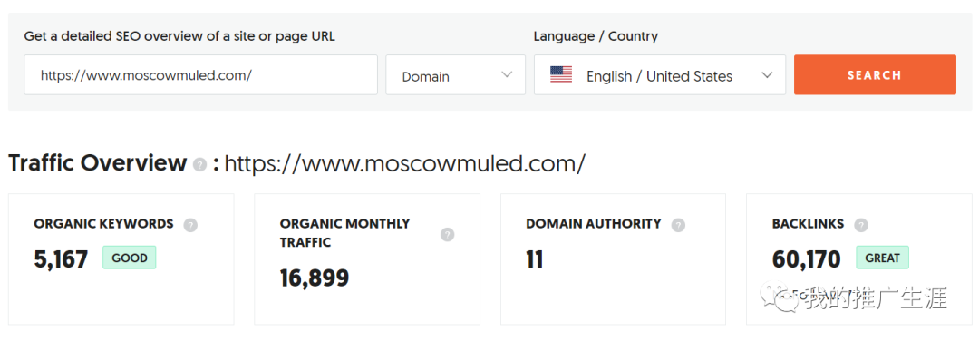 案例:百万自然访客流量的护发外贸独立站