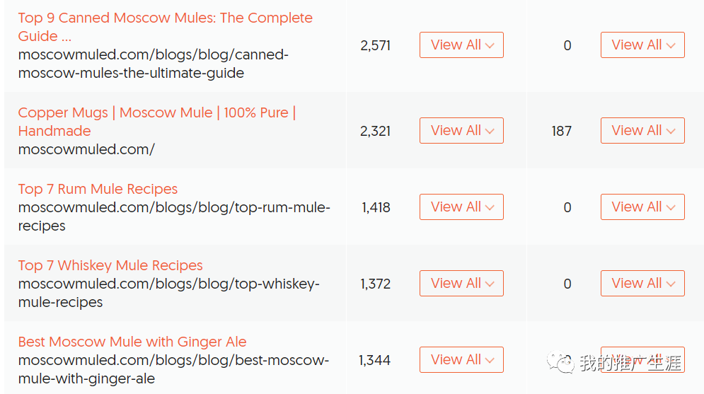 案例:百万自然访客流量的护发外贸独立站