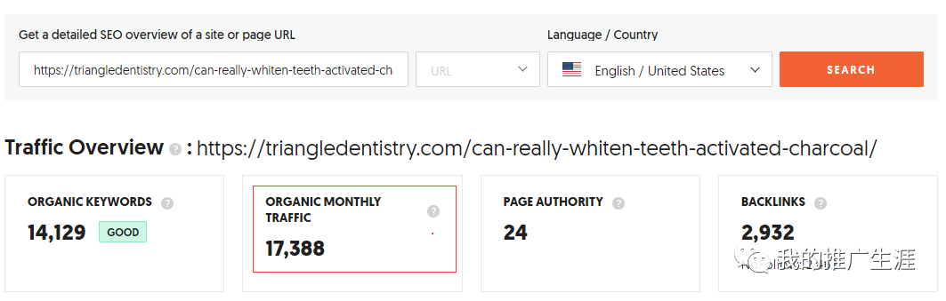 案例:百万自然访客流量的护发外贸独立站