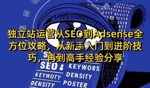 独立站运营从SEO到Adsense全方位攻略,从新手入门到进阶技巧,再到高手经验分享