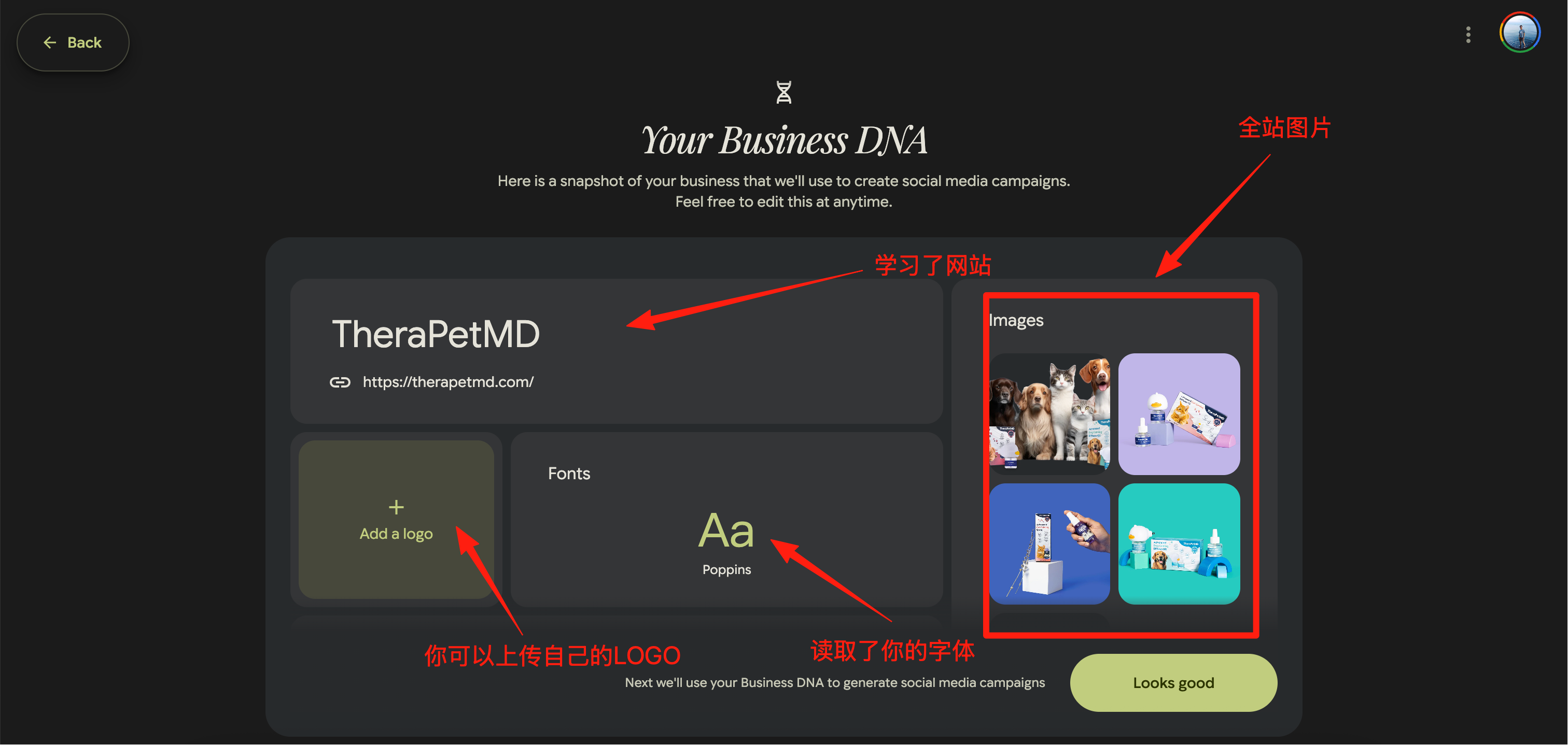 谷歌实验室又出神器,Pomelli让营销更简单